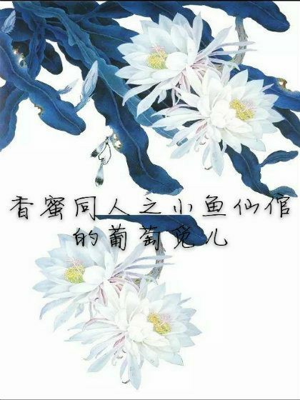 杀庄联盟APP官网:产品2